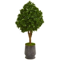 Почти естествен 49В. Чай листа изкуствено дърво в метал плантатор УВ устойчив, зелен
