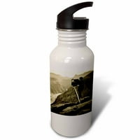 Винтидж фотограф в Grand Canyon Oz Sports Water Bottle WB-16126-1