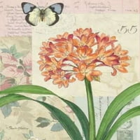 Кливия флорален колаж отпечатък от Pamela Gladding