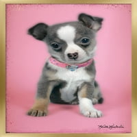 Кийт Кимбърлин - Кученце на розов фона на стена плакат, 22.375 34